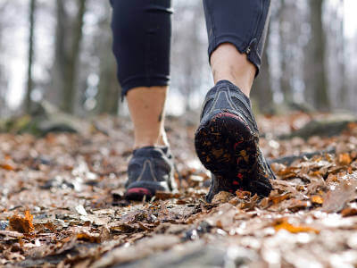 sporty shoes on forrest floor