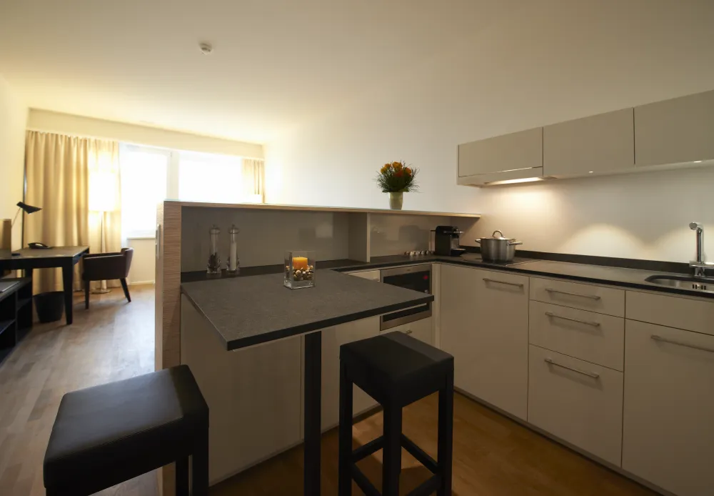 Apartment of category city kitchen