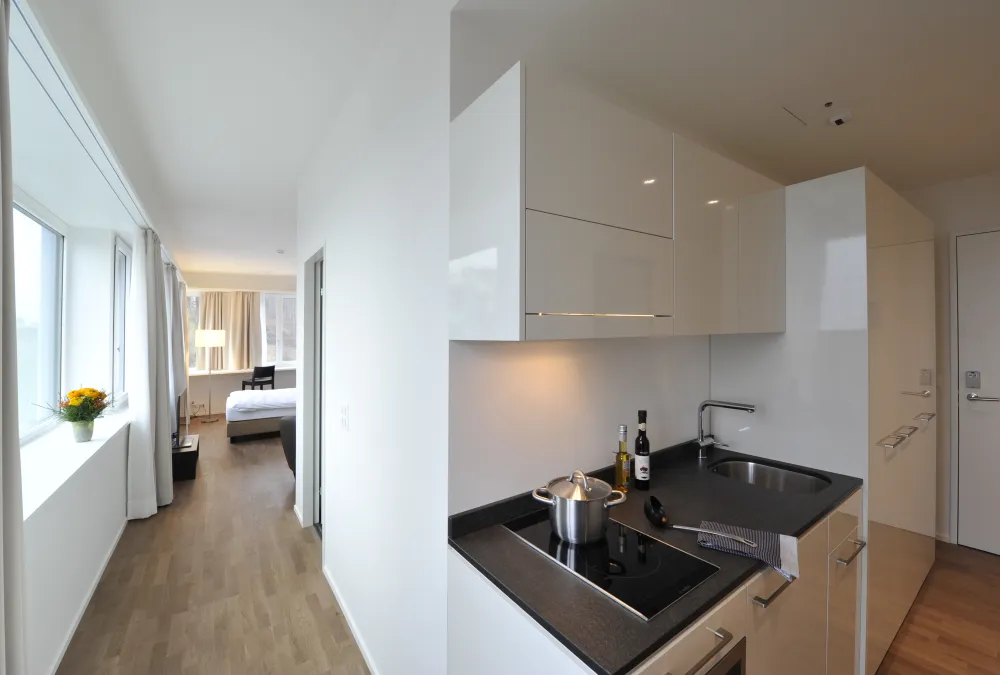 Apartment of category panorama kitchen