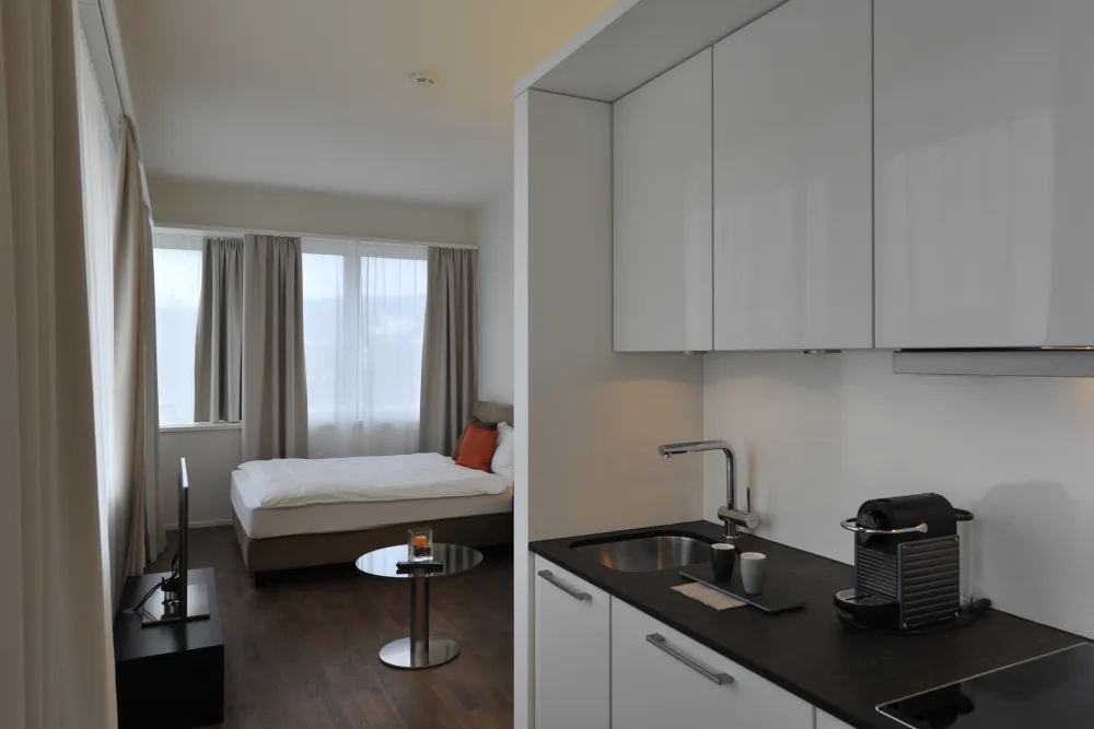 Apartment of category panorama kitchen other variant