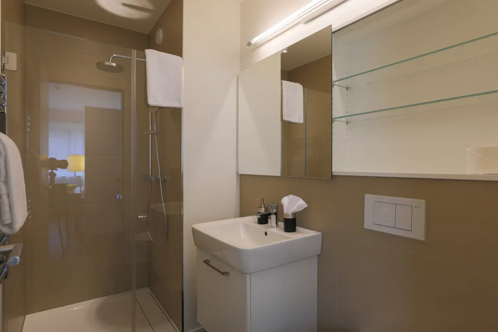 Apartment of category smart bathroom
