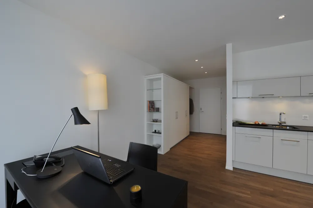 Apartment of category top IV working area