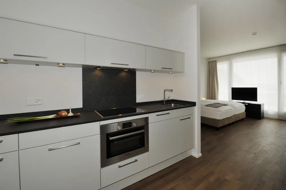 Apartment of category top VII kitchen
