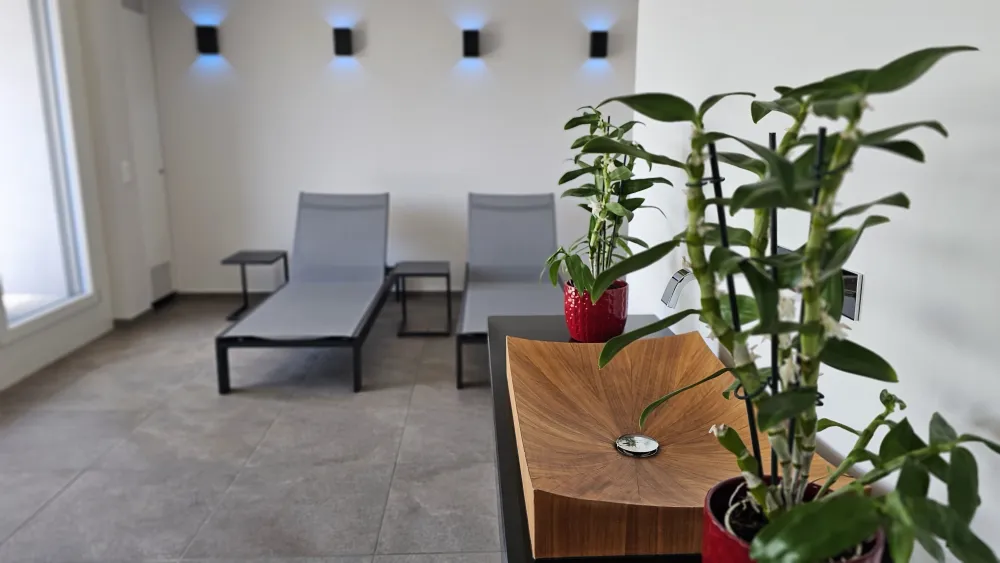 Guggach Wellness Spa Lavabo and Sun Loungers