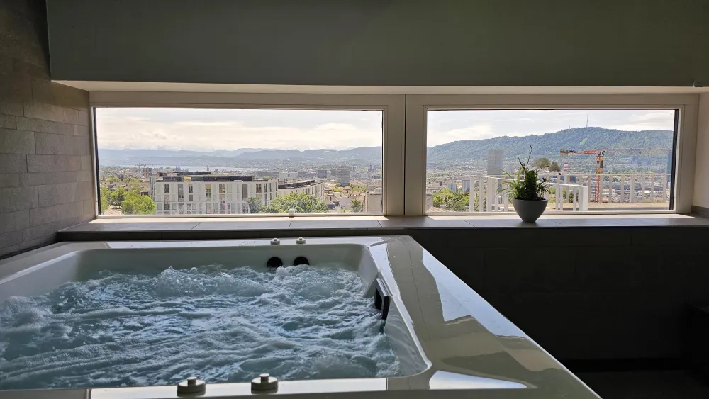 Guggach Wellness Spa Pool View