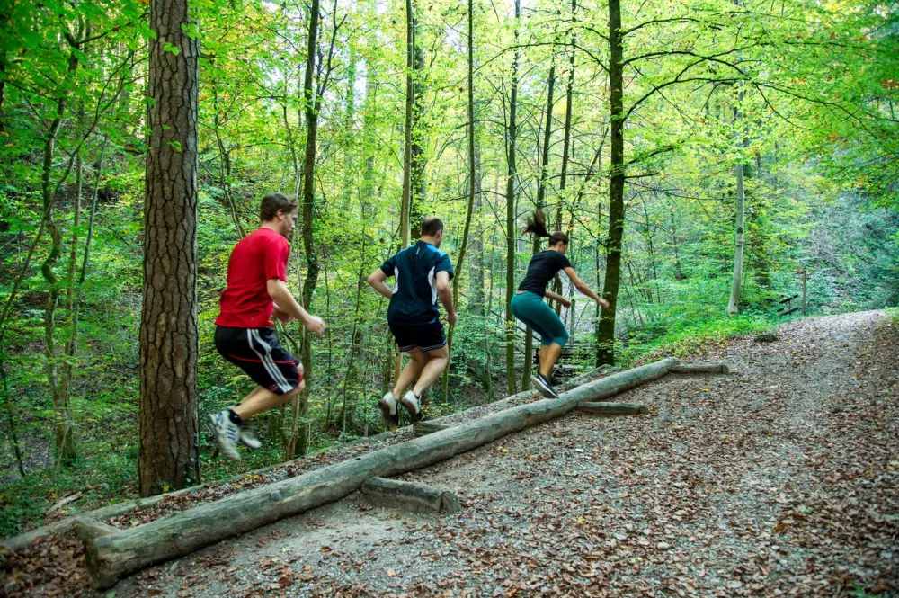 Forrest sport with Vitaparcours